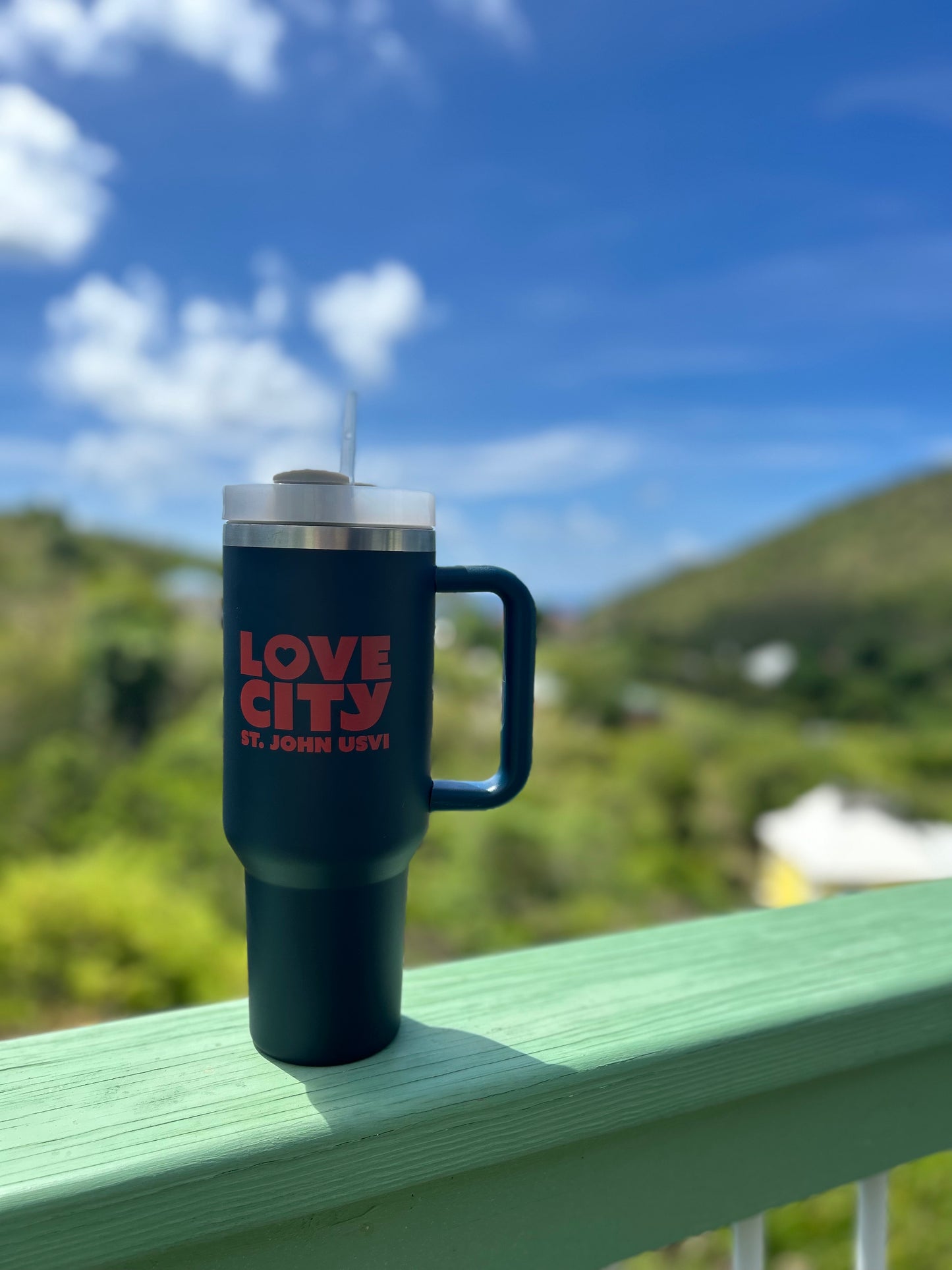 Love City insulated cup w/ handle